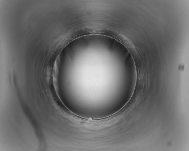 X0000090970026200708091446