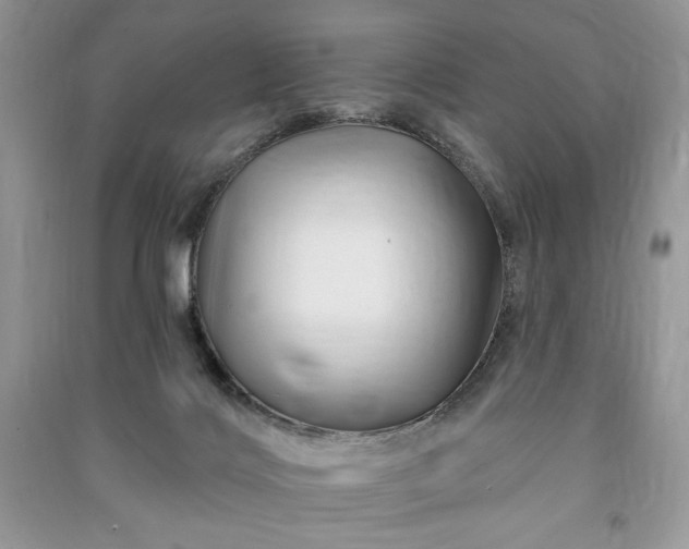 X0000090970028200708091446