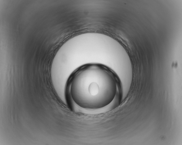 X0000090970029200708091446