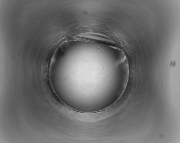 X0000090970030200708091446