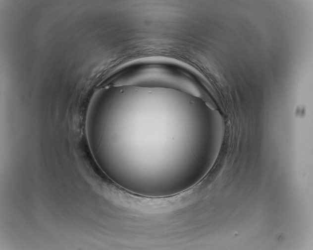 X0000090970031200708091446