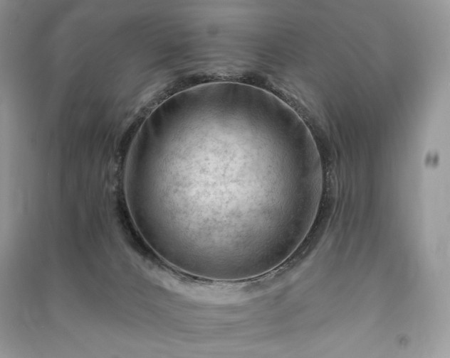 X0000090970032200708091446