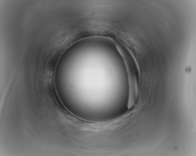 X0000090970033200708091446