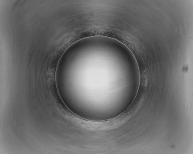 X0000090970034200708091446