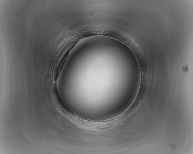 X0000090970035200708091446