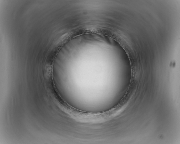 X0000090970036200708091446