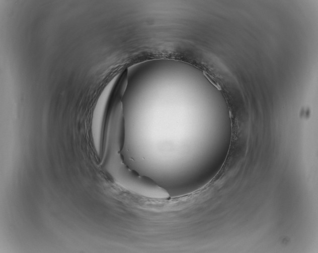 X0000090970037200708091446