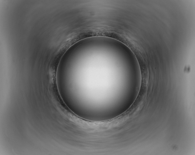 X0000090970038200708091446