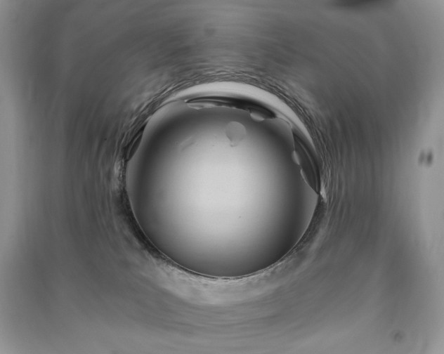 X0000090970039200708091445