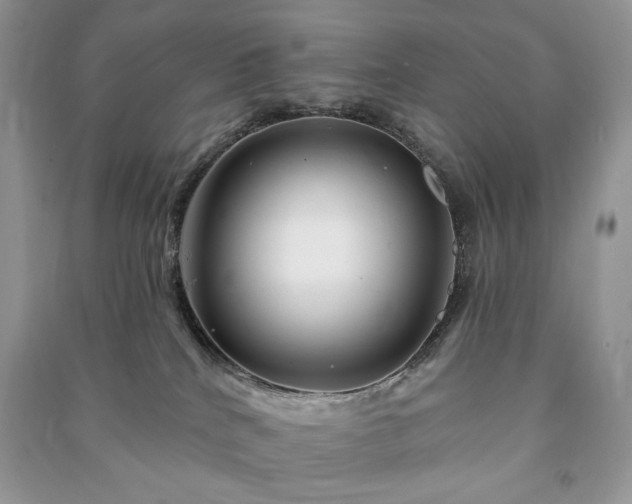 X0000090970040200708091445