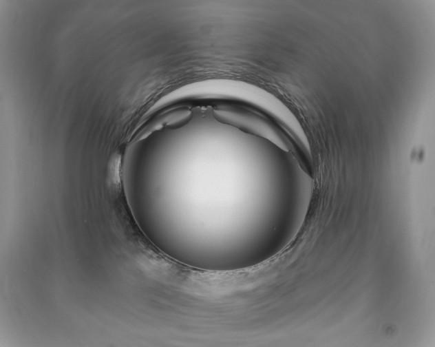 X0000090970041200708091445