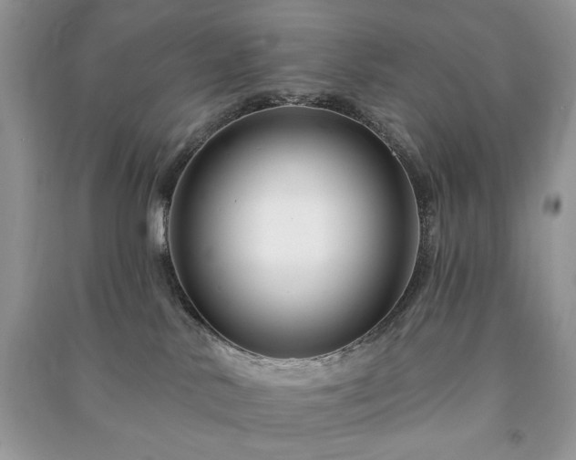 X0000090970042200708091445