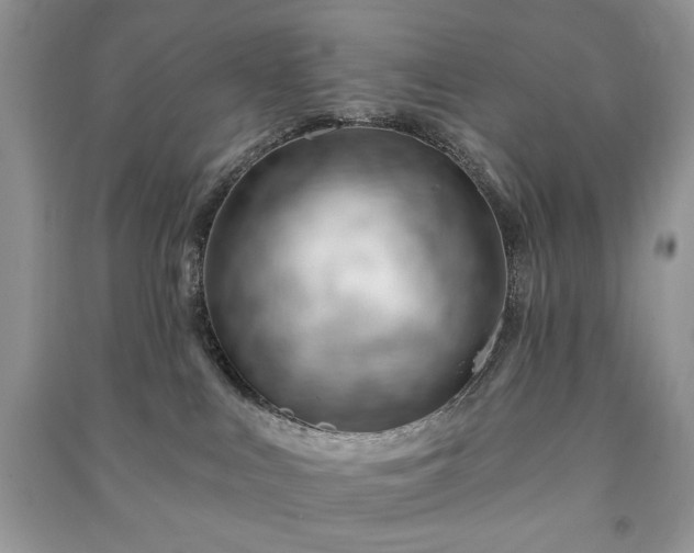 X0000090970043200708091445