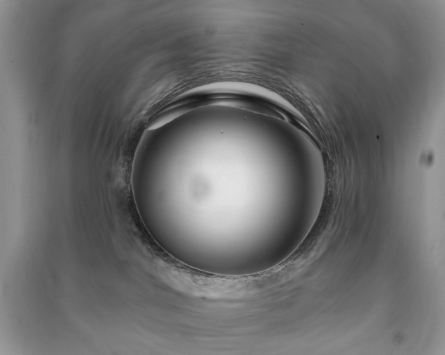 X0000090970044200708091445