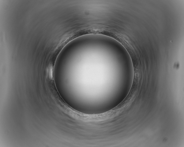 X0000090970046200708091445