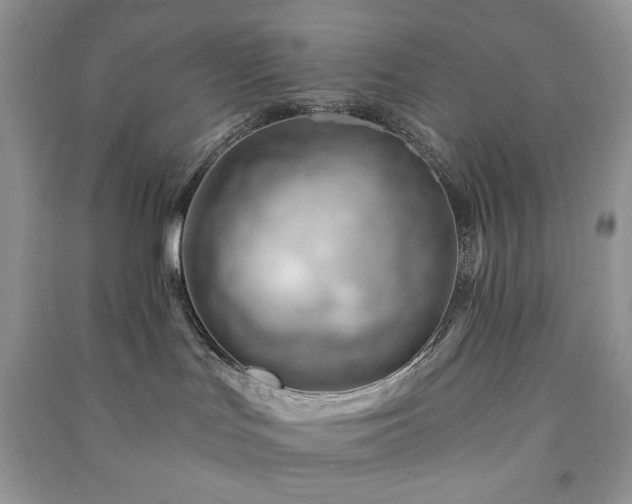 X0000090970047200708091445