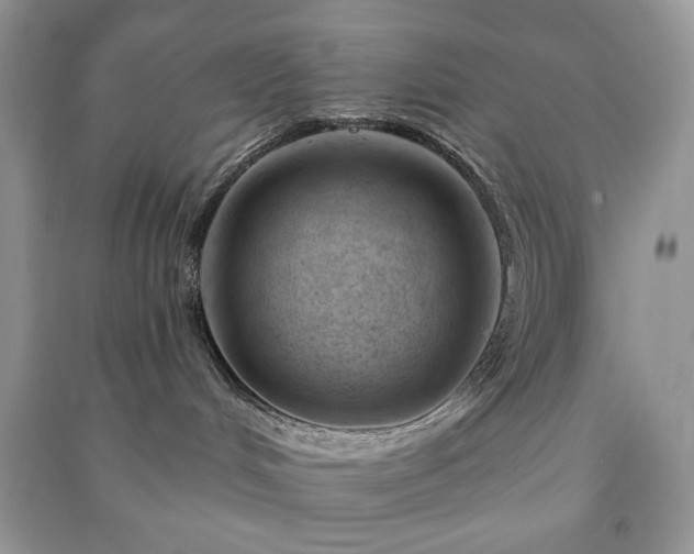 X0000090970048200708091445