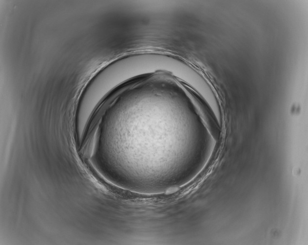 X0000090970049200708091445