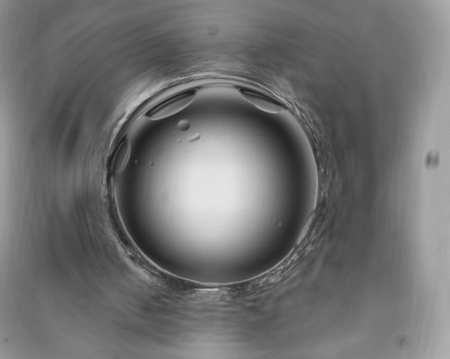 X0000090970050200708091445