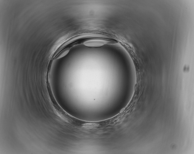 X0000090970051200708091445