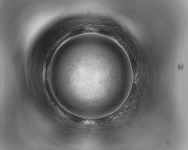 X0000090970052200708091445