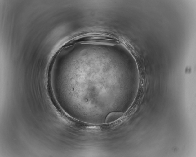 X0000090970053200708091445