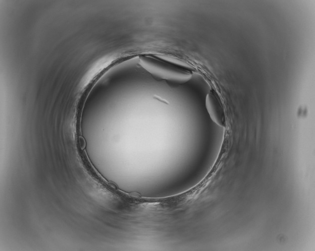 X0000090970054200708091445