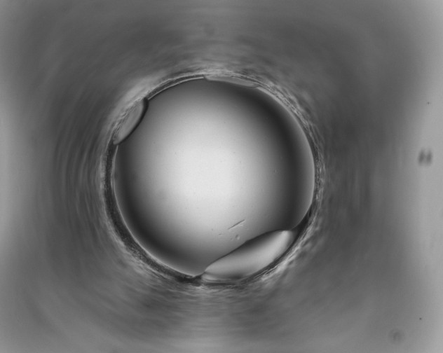 X0000090970055200708091445