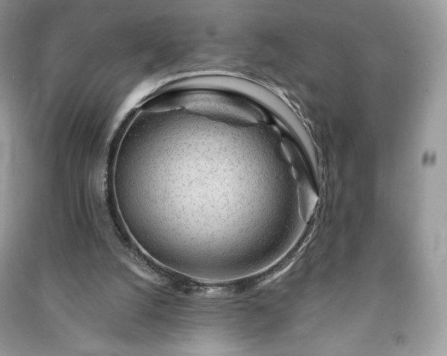 X0000090970056200708091445