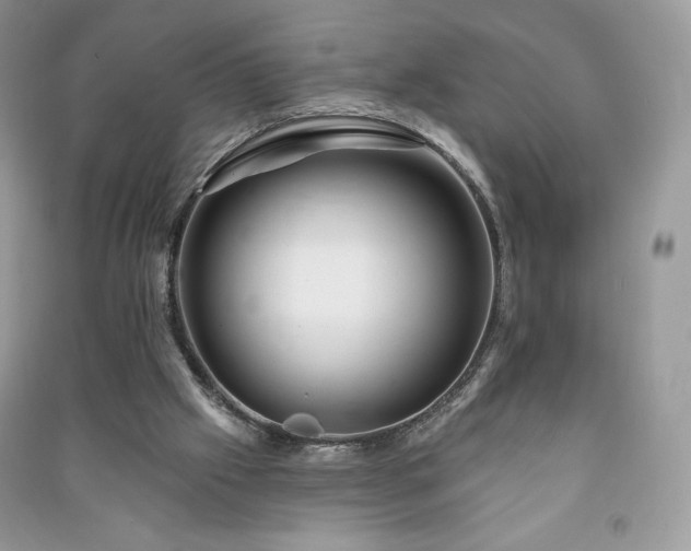 X0000090970057200708091445