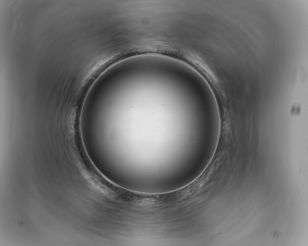 X0000090970058200708091445