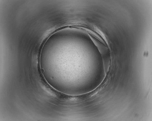 X0000090970059200708091445