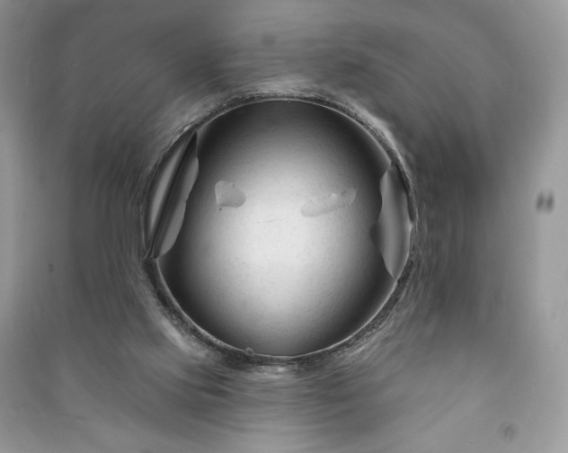 X0000090970061200708091445