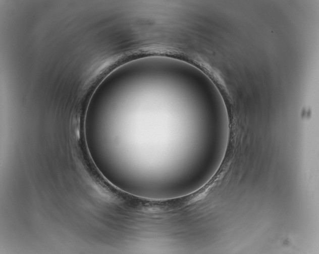 X0000090970062200708091445