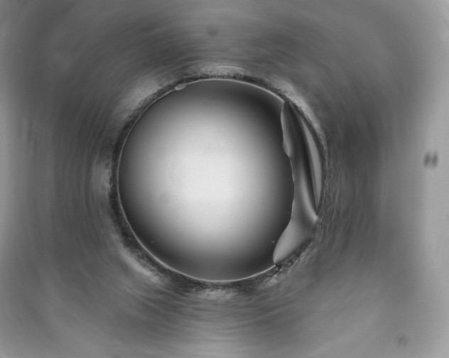 X0000090970063200708091445