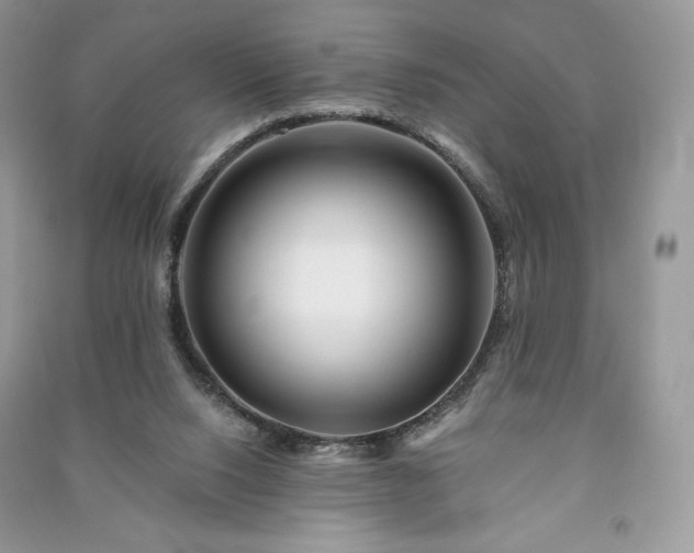 X0000090970064200708091445