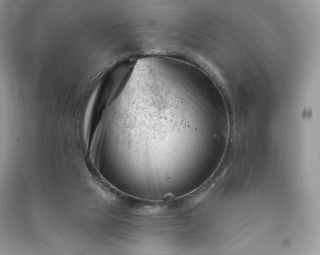 X0000090970065200708091445