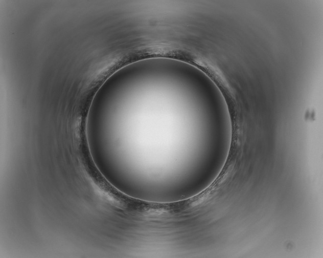 X0000090970066200708091445