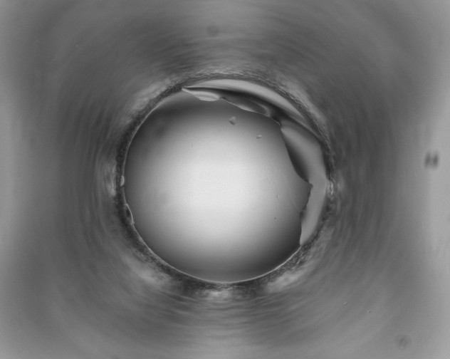 X0000090970068200708091445