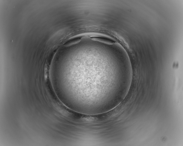 X0000090970069200708091445