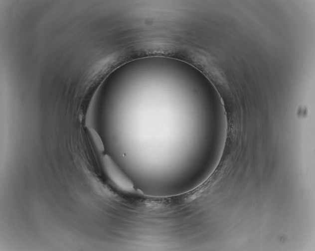 X0000090970070200708091445