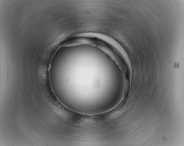 X0000090970072200708091445