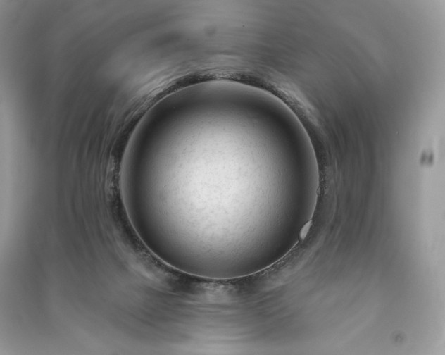 X0000090970073200708091445