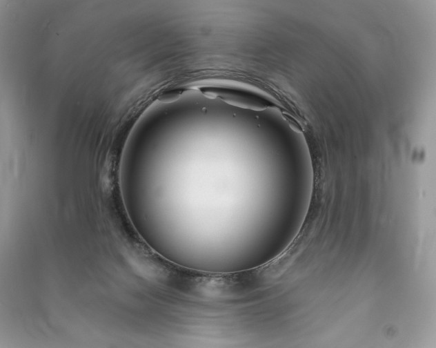 X0000090970074200708091445