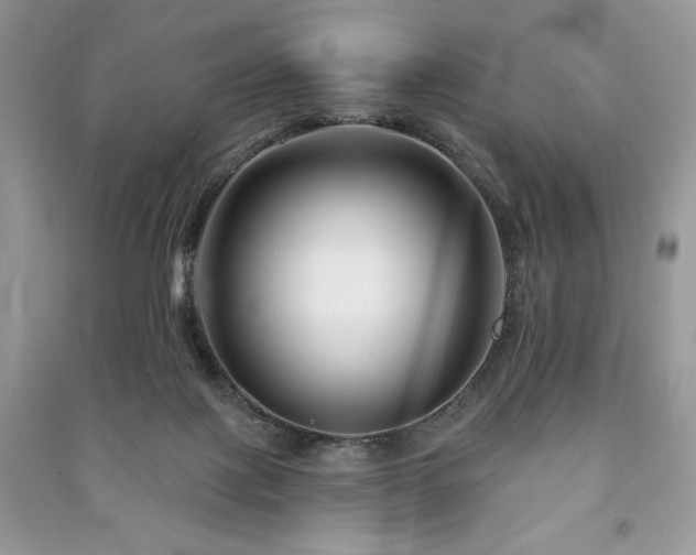 X0000090970075200708091445