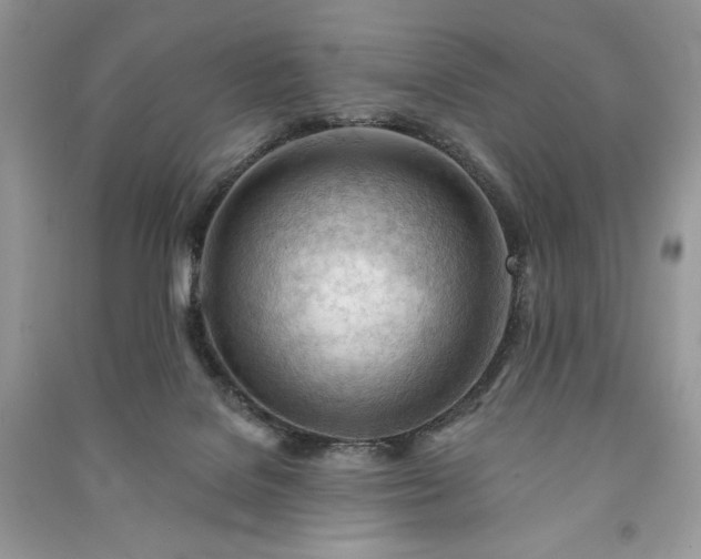 X0000090970076200708091445