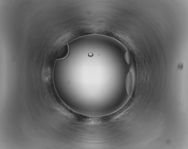 X0000090970077200708091445