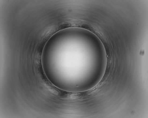 X0000090970078200708091445