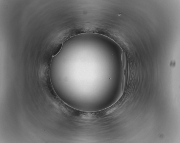 X0000090970079200708091445