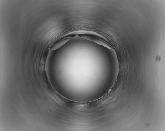 X0000090970081200708091445